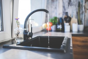 raleigh garbage disposal